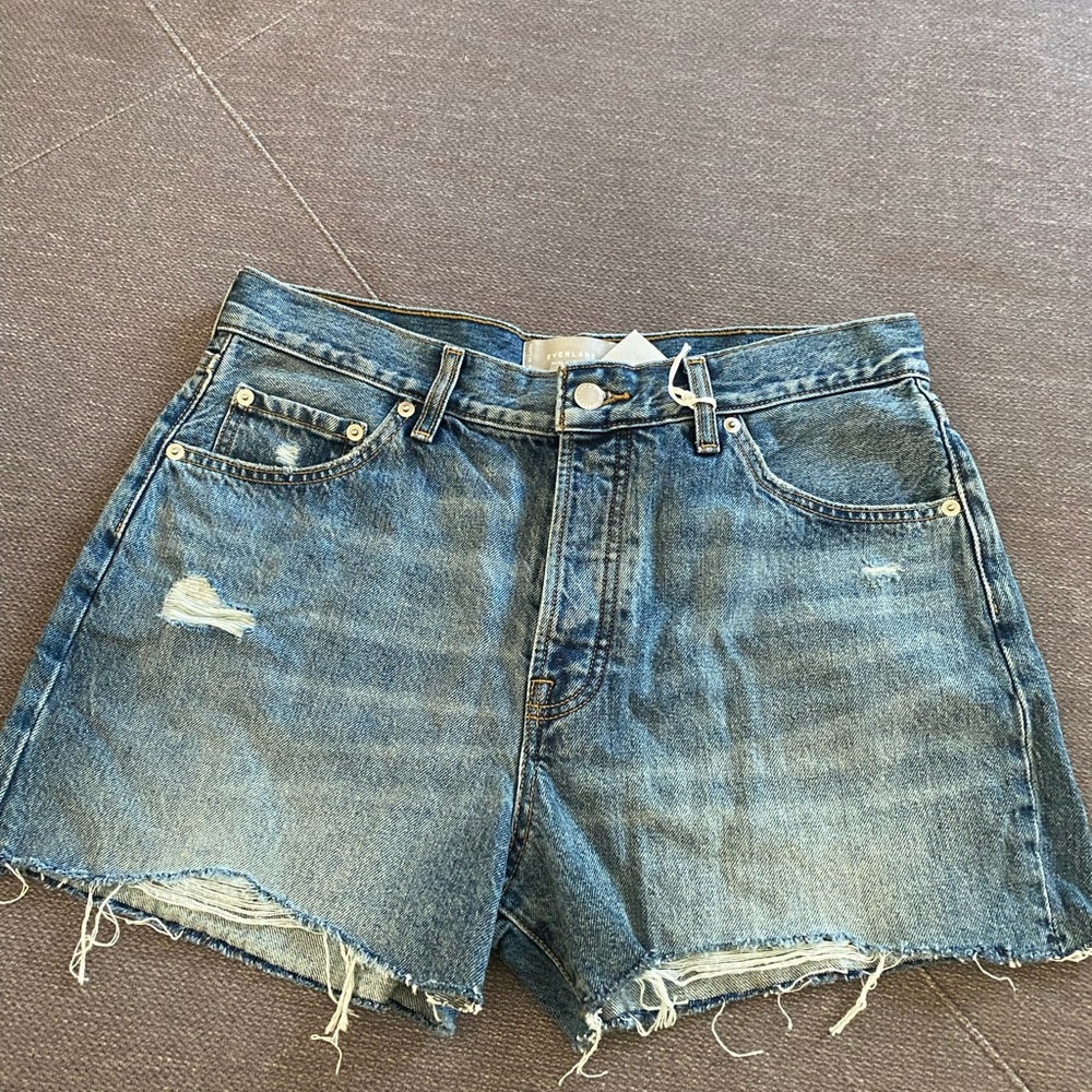 Everlane Distressed Blue Jean Shorts